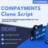 Build a Secure Multi-Crypto Payment Platform With Coinpayments Clone