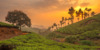Kerala Tour Packages For Couple