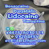 99% Lidocaine Powder CAS 137-58-6 Factory  Lidocaine powder