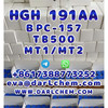 HGH 191AA BPC 157 TB 500 raw powder 12629-01-5 99.9% Stronger