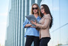 Trusted Startups SEO Agency Abu Dhabi for Online Growth