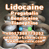 Lidocaine Tianeptine pregabalin raw Powder 137-58-6 Manufactory Supply