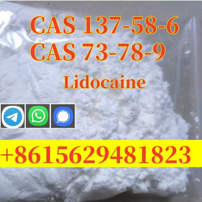 1st picture of High purity Lidocaine CAS 137-58-6 For Sale in Cebu, Philippines