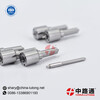 Diesel Injector Nozzles L087PBD and Diesel Injector Nozzles W079
