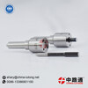 Diesel Injector Nozzles L492PBJ for Diesel Injector Nozzles L586PBD