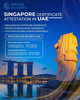 Step-by-Step Process of Singapore Document Attestation in UAE