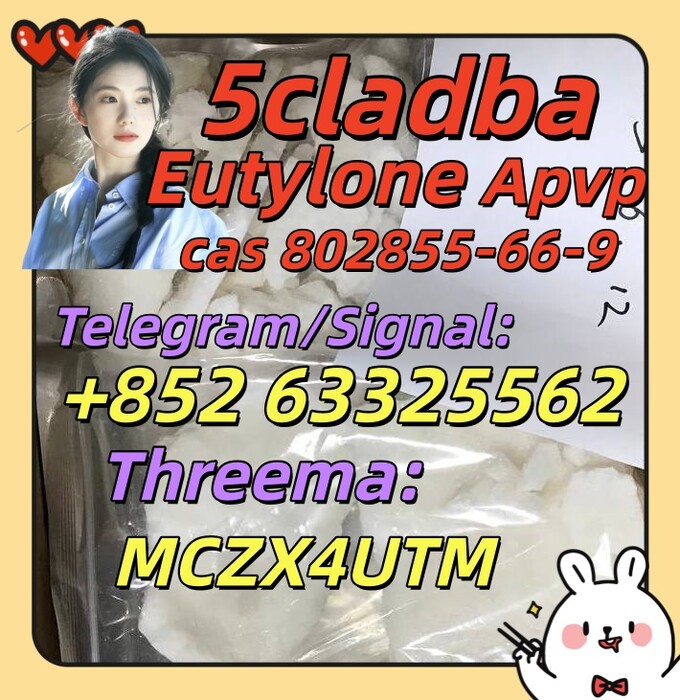 1st picture of best Eutylone/EU/KU cas 802855-66-9 For Rent in Cebu, Philippines