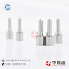 0433175395 Hole Type Nozzle For 03 cummins injector nozzle
