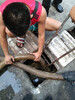 MCT Malabanan siphoning septic tank services