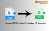 Corrupted OST File Problem? Try Toolsbaer PST Conversion