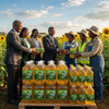 Organic Sunflower oil | High-quality Refined Sunflower oil