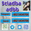 5cladba ADBB 5fadb precursor 1119-51-3 in stock best supplier