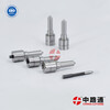 Diesel Injector Nozzles 0 433 171 829 Diesel Injector Nozzles 0 433 171 831