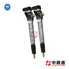 Common Rail Fuel Injector 095000-6250 Diesel Fuel Injector 0 445 110 443
