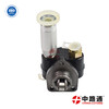 VE pump NJ-VE4/11F1900L005. VE Pump NPVE4/11F1800LNP2495