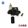 Injection Pump NJVE4/11F1400RNP2448 VE distributor pump 22100-0L020