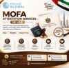 Professional MOFA Attestation Services in Abu Dhabi, UAE