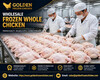 Brazil Halal Frozen Chicken & Parts Supplier Bahrain - www.goldenfrozenchicken.com
