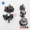 diesel Pump Rotor Head 7139-709W diesel Pump Rotor Head 7139-764S