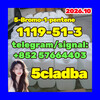 5-Bromo-1-pentene CAS 1119-51-3