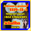 5-bromo-1-pentene | 1119-51-3