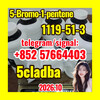 1119-51-3 | 5-Bromo-1-pentene