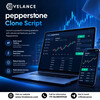 What Does It Take to Build a Secure Forex and CFD Trading Platform?