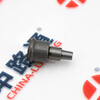 Injection Pump Delivery Valves 2 418 552 159 Injection Pump Delivery Valves 2 418 552 183
