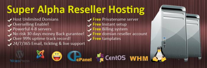 1st picture of Web Hosting Super Alpha Reseller Package with softaculous & rv site builder For Sale in Cebu, Philippines