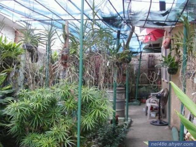 2nd picture of HOUSE&LOT FOR SALE -MANDAUE-est-3.5M For Sale in Cebu, Philippines