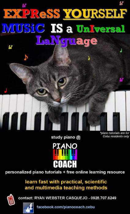 1st picture of PIANO LESSONS for beginners and enthusiasts Offer in Cebu, Philippines