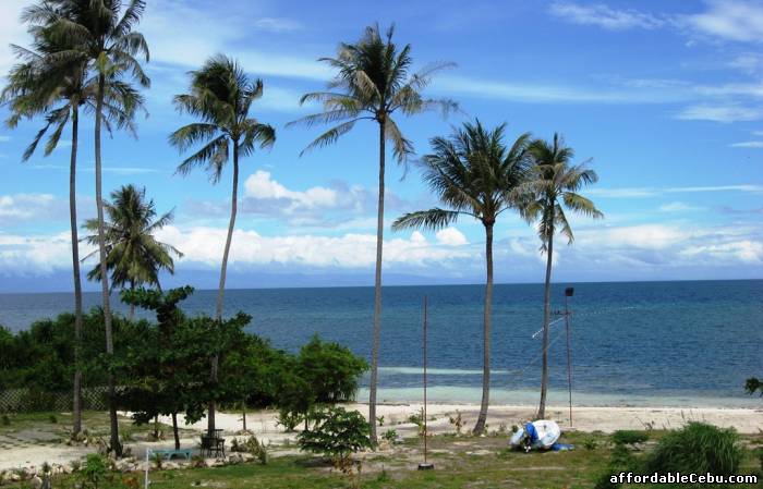 2nd picture of Beach Property with Scuba Resort for Sale on Panglao Island Bohol Philippines! For Sale in Cebu, Philippines