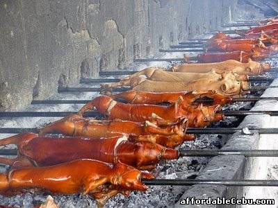 2nd picture of Lechon Baboy for Sale in Talisay City-Cebu For Sale in Cebu, Philippines