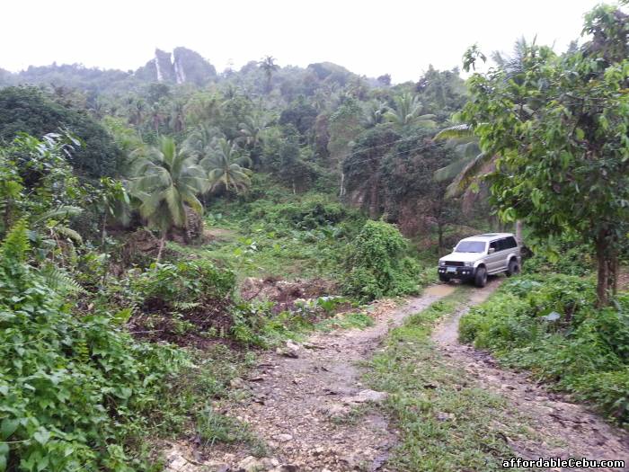 2nd picture of Off road set up truck For Sale in Cebu, Philippines