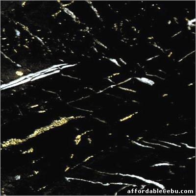 2nd picture of Get a Attractive Black Limestone at Competitive prices in India. For Sale in Cebu, Philippines