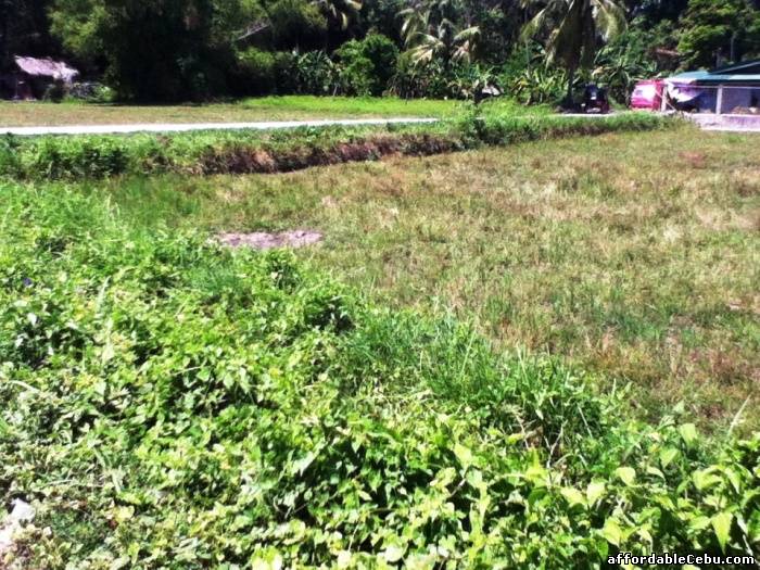 2nd picture of Residential Lot in Tulic, Argao For Sale in Cebu, Philippines