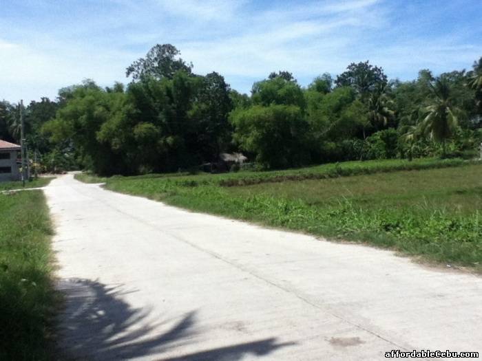 1st picture of Residential Lot in Tulic, Argao For Sale in Cebu, Philippines