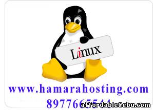 1st picture of linux web hosting For Sale in Cebu, Philippines