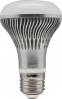 SmartLED Bulb B108