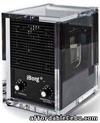 1st picture of iBorg Air Purifier For Sale in Cebu, Philippines