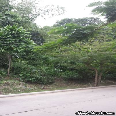 2nd picture of 3,158 SQM. Residential Lot for SALE in Talamban Cebu For Sale in Cebu, Philippines