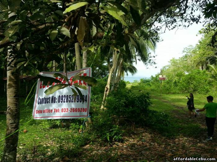 1st picture of Land in PANGLAO BOHOL for SALE For Sale in Cebu, Philippines