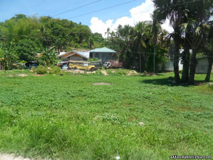 5th picture of Lot in Danao City near Guillas Danao For Sale in Cebu, Philippines