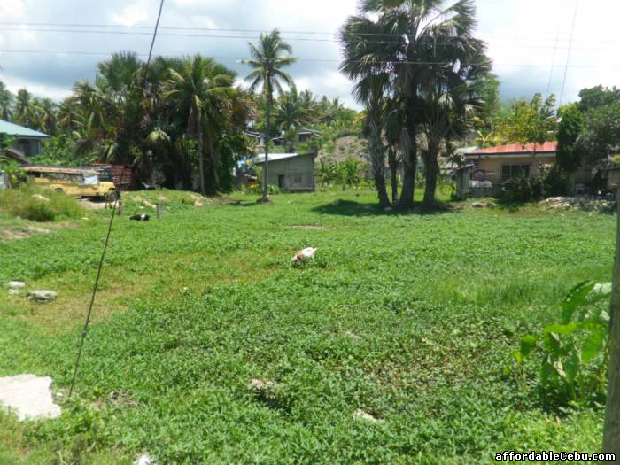 3rd picture of Lot in Danao City near Guillas Danao For Sale in Cebu, Philippines