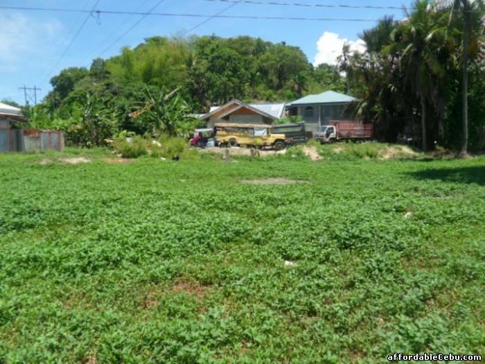 1st picture of Lot in Danao City near Guillas Danao For Sale in Cebu, Philippines