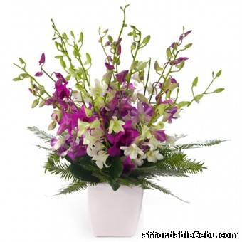 1st picture of Pilipinas Gift - Mandaluyong | Send Flowers To Any City! For Sale in Cebu, Philippines