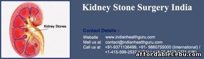 1st picture of Is Kidney Stone Surgery India Treatment world class? Offer in Cebu, Philippines