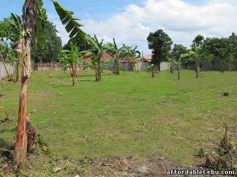 3rd picture of Fully fenced lot for sale in Tuyan, Naga For Sale in Cebu, Philippines