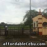 3rd picture of BF Homes Subdivision For Sale For Sale in Cebu, Philippines