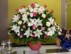 Flowers in A Pot